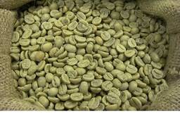 Robusta Coffee beans available for sale