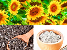 Sunflower Meal High Protein 36% (as is) Non Pelleted, Sunflower Oil Cake, For Animal Feed