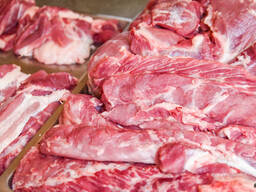 Wholesale Supply Of pork Meat From Spain