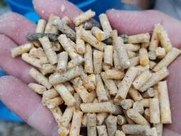 Wholesale Wheat Bran Pellets - Direct from Farm &amp; Factory