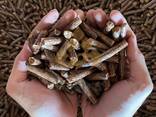 Wood pellets EN PLUS A1 standard for sale - фото 2