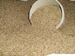 Wood Pellets for Heating ENplus A1 - фото 1
