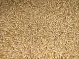 Wood Pellets for Heating ENplus A1 - фото 5