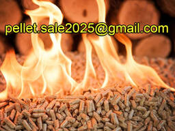 Wood pellets pellet Manufacturer EXPORT